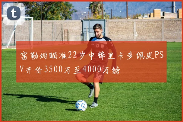 富勒姆瞄准22岁中锋里卡多佩皮PSV开价3500万至4000万镑