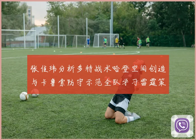 张佳玮分析多特战术哈登空间创造与卡鲁索防守示范全队学习雷霆策略